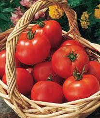 Kodėl pomidorai prasiskverbia šiltnamyje ir atvirame lauke?