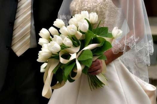 Balta tulpė - pavasario gėlės jūsų sode