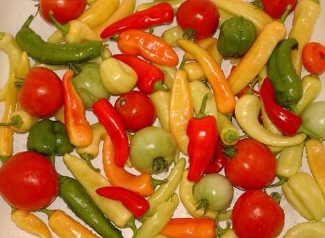 Spicy Adjika: receptas su krienais