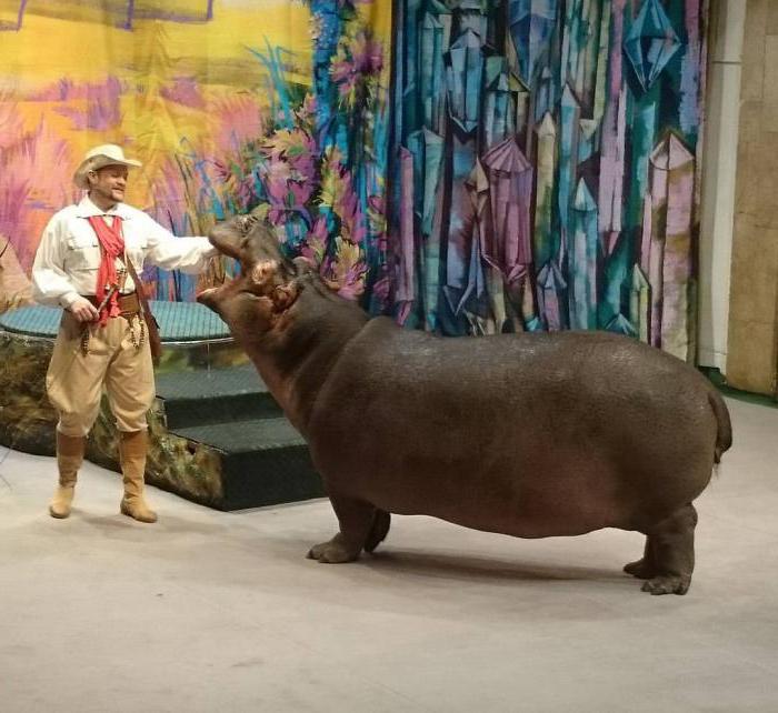 Senelio Durovo teatras - pasakų gyvūnų pasaulis