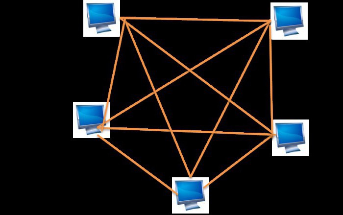 ką reiškia vietinio tinklo topologija 