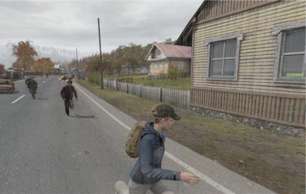 "DayZ" autonominis: kaip optimizuoti žaidimą?