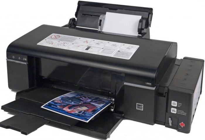 "Epson L800"