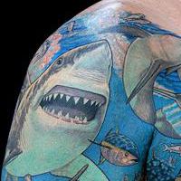 tatuiruočių ryklys