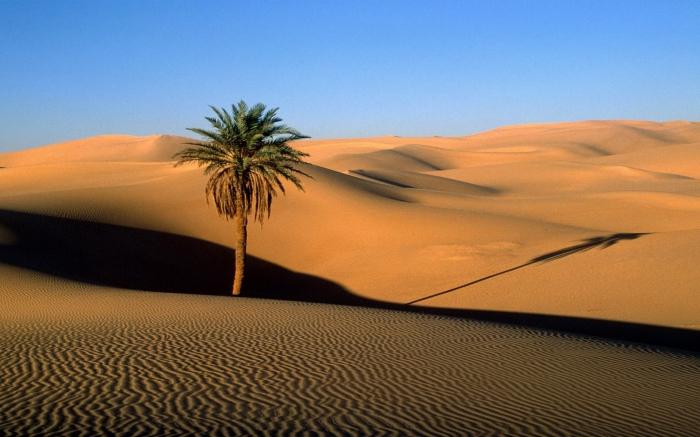 Afrikos dykumos