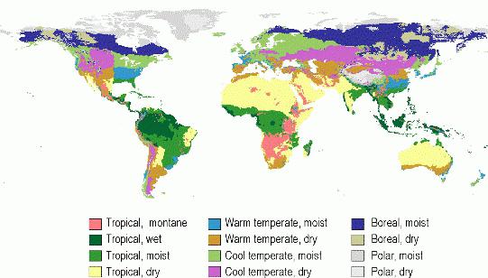 pereinamojo laikotarpio klimato zonos