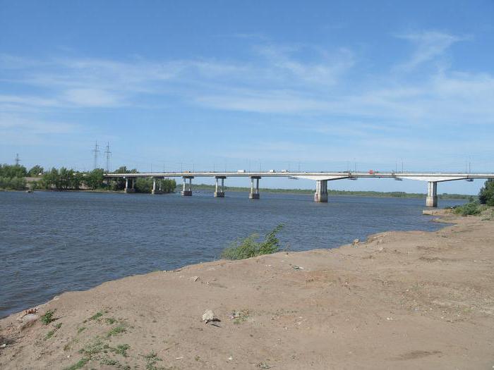 Kokia yra Volgos upės vieta: geografija ir ekologija