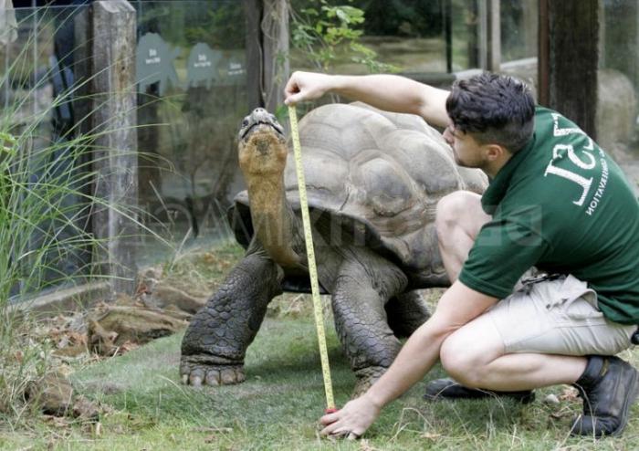 Įdomu pamatyti: Londono zoologijos sode