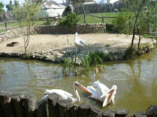 parkas saulėtą Krasnodaro salą 