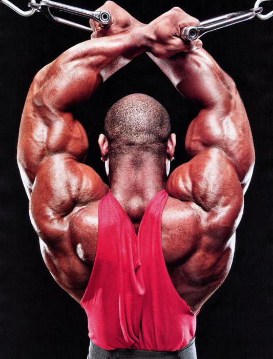 Dexter Jackson mokymo programa 