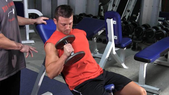 treniravimas tricepso bicepėje sporto salėje 