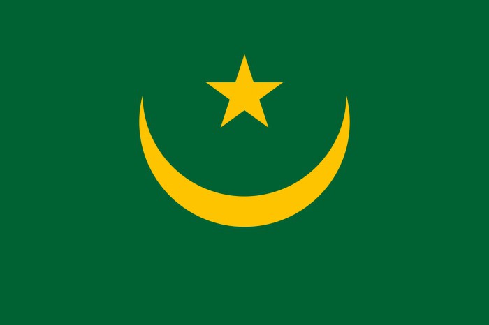 Mauritanijos vėliava