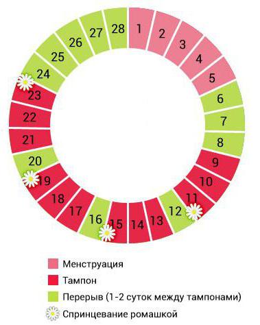 phytothamps gražus gyvenimo apžvalgos 